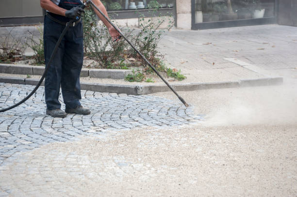 Trusted Hector, MN Pressure Washing Services Experts